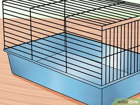 Image titled Learn When to Separate Hamsters Step 10
