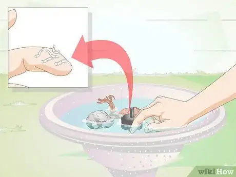 Image titled Prevent Small Worms in Birdbaths Step 7