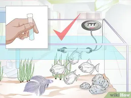 Image titled Add a Betta to a Community Tank Step 15