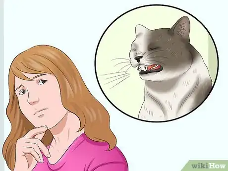 Image titled Stop a Cat from Pulling Its Hair Out Step 1