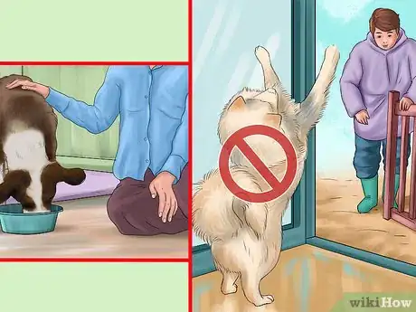 Image titled Bring up a Gentle and Pleasant Dog Step 10