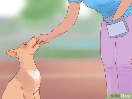 Image titled Stop Your Cat from Attacking Your Dog Step 13
