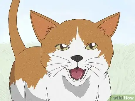 Image titled Why Do Cats Rub Against You Step 6