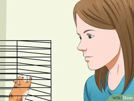Image titled Make Your Hamster Trust You Step 3