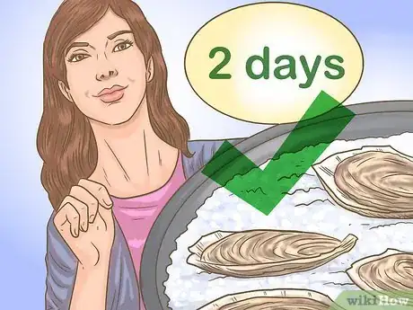 Image titled Buy Fresh Oysters Step 17