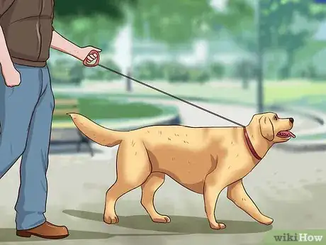 Image titled Teach Your Dog Not to Get Into Garbage Cans Step 4