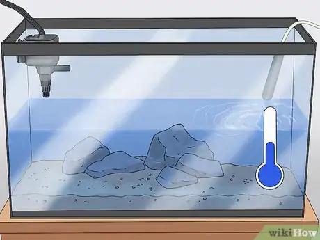 Image titled Set up a Healthy Goldfish Aquarium Step 7