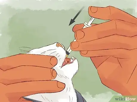 Image titled Give Cats Liquid Medicine Step 7