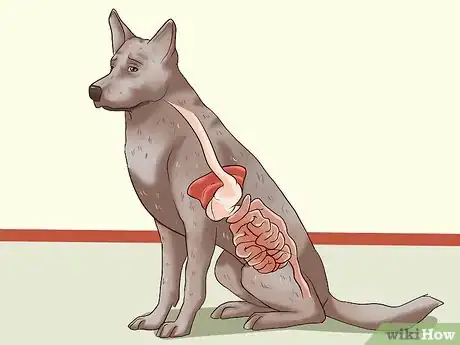 Image titled Identify Different Dog Worms Step 4