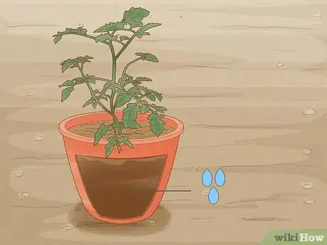 Image titled Determine How Much Water Plants Need Step 8