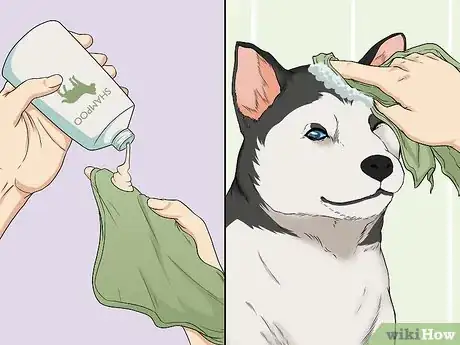 Image titled Wash a Dog's Face Step 6