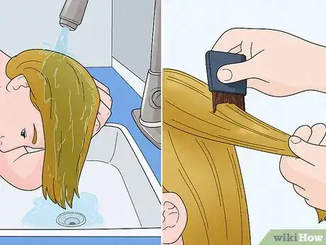 Image titled Get Rid of Head Lice Naturally Step 1