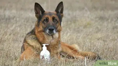 Image titled Groom a German Shepherd Step 16