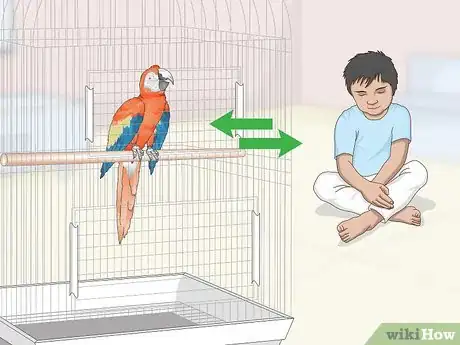 Image titled Teach Parrots to Talk Step 2