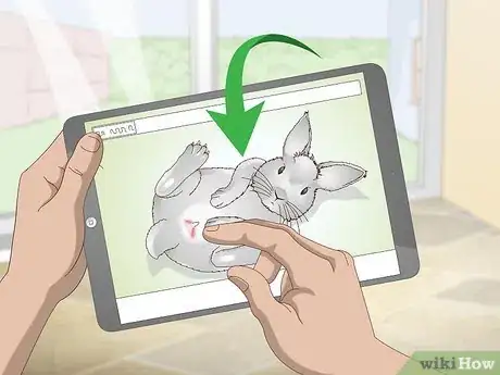 Image titled Determine Whether to Have Your Rabbit Neutered Step 7