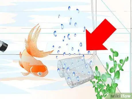 Image titled Cure Goldfish Ich Step 5