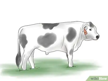 Image titled Breed Cows and Heifers Naturally Step 1