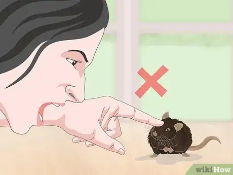Image titled Deal with a Mouse That Bites or Scratches Step 10