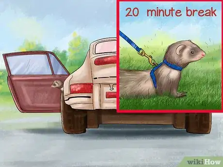 Image titled Travel With a Ferret Step 12