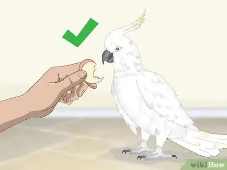Image titled Bond with a Cockatoo Step 7
