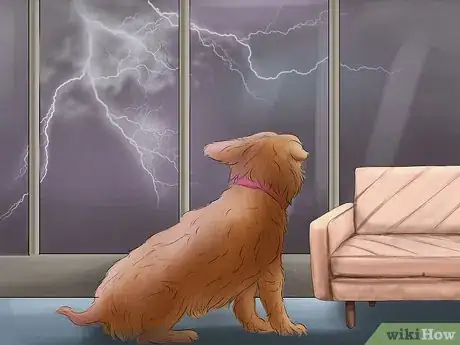 Image titled Stop Your Dog from Being Frightened During a Storm Step 2