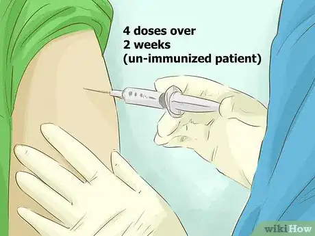Image titled Administer a Rabies Vaccination Step 13