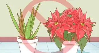 Protect Your Houseplants from Pets