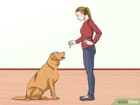 Image titled Introduce an Older Cat to a New Dog Step 4