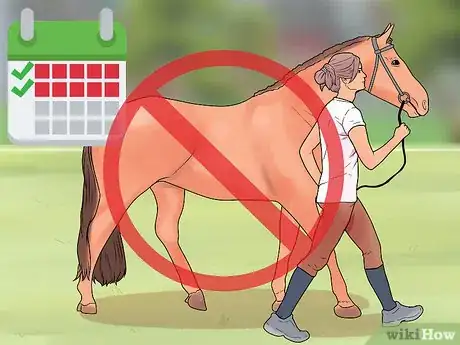 Image titled Castrate a Horse Step 14
