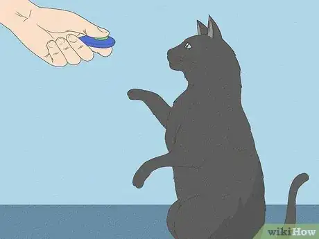 Image titled Teach Your Cat to Do Tricks Step 4