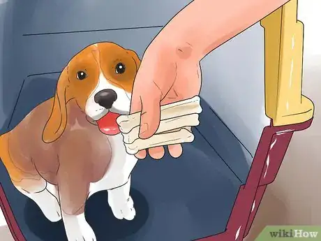 Image titled Take Care of a Beagle Puppy Step 23