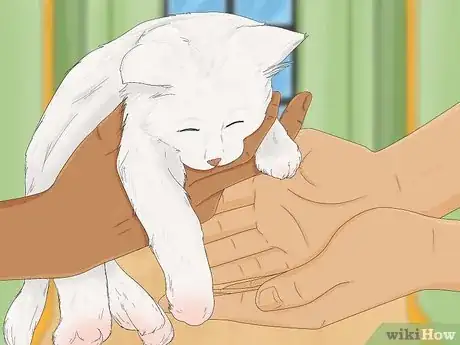 Image titled Earn a Kitten's Trust Step 9