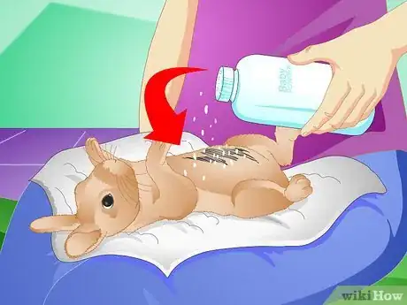 Image titled Clean Your Rabbit Without Bathing It Step 6