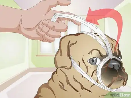 Image titled Apply a Gauze Muzzle to a Dog Step 12