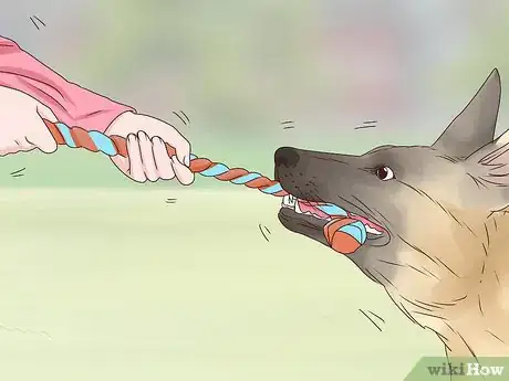 Image titled Stop Dogs Licking You Step 7