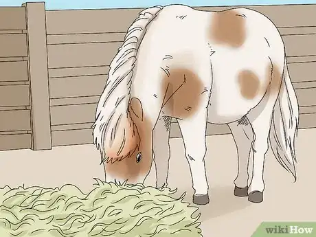Image titled Keep a Miniature Horse Fit Step 18
