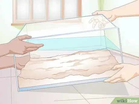 Image titled Clean a Turtle Tank Step 11