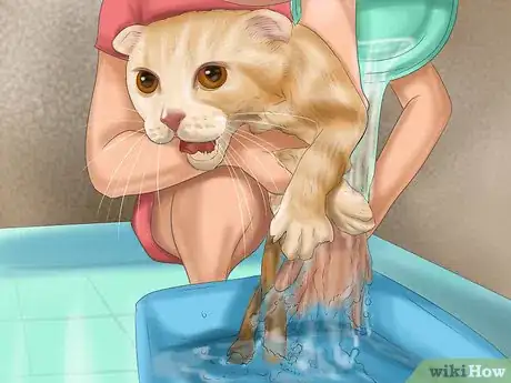 Image titled Bathe a Cat Step 11