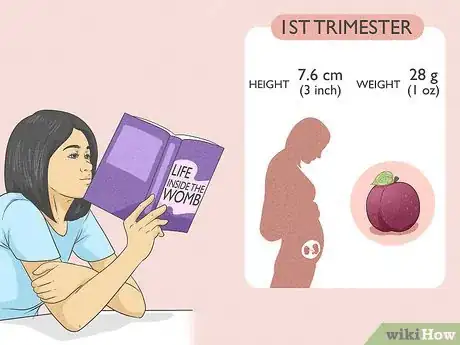 Image titled Understand the Stages of Pregnancy Step 8