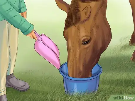Image titled Hand Feed a Horse Step 12