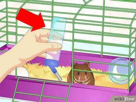 Image titled Care for Old Hamsters Step 5
