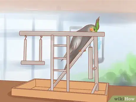 Image titled Keep Your Cockatiel Happy Step 9