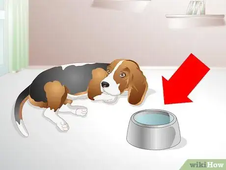 Image titled Get a Sick Dog to Drink Step 1