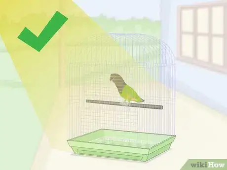 Image titled Spot Beak Problems in a Senegal Parrot Step 13