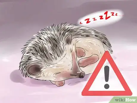Image titled React when Your Hedgehog Bites You Step 15