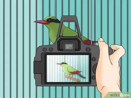 Image titled Sell Your Bird Step 1