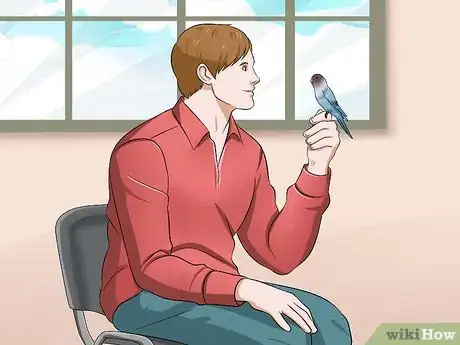 Image titled Tame Your Budgies Step 14