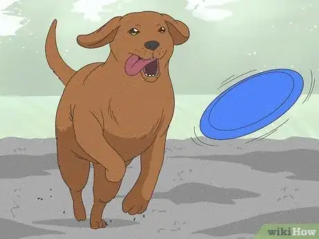 Image titled Stop a Dog from Pawing Step 10