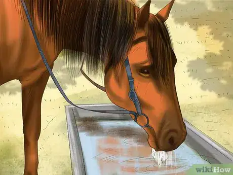 Image titled Make a Salt Lick for Horses Step 4