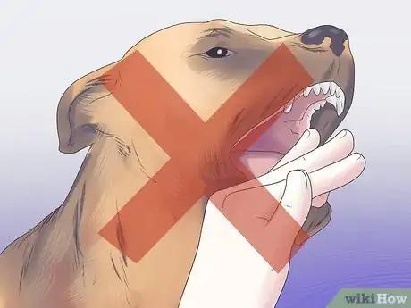 Image titled Help Your Dog During a Seizure Step 4